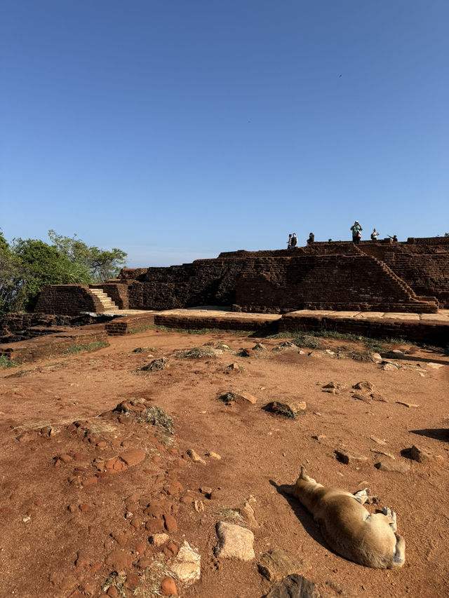 Sigiriya Lion Rock Fortress