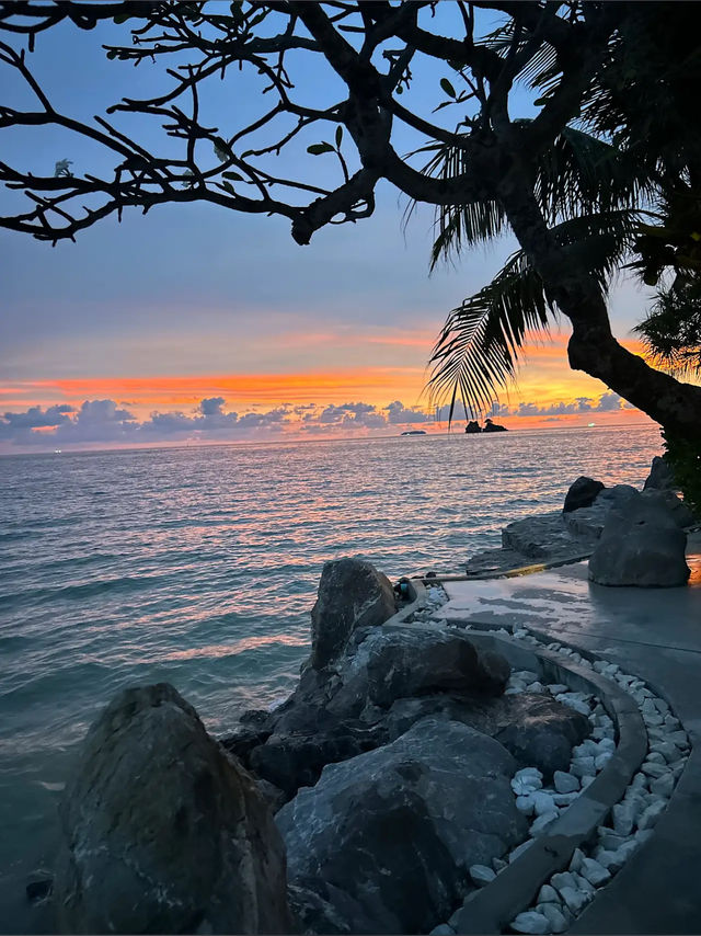 ที่พัก pet-friendly 🐶🐈🐕 ระยอง