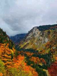 🏞️🏔️ Durmitor National Park – Montenegro’s Mountain Paradise