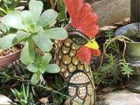 Tucson Botanical Gardens