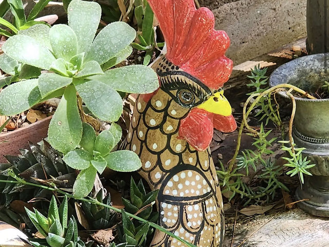 Tucson Botanical Gardens