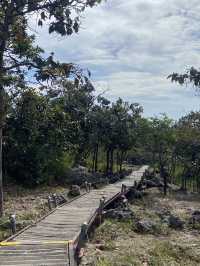 ชมป่าหินงาม รับลมหยาว  ‘ชัยภูมิ‘