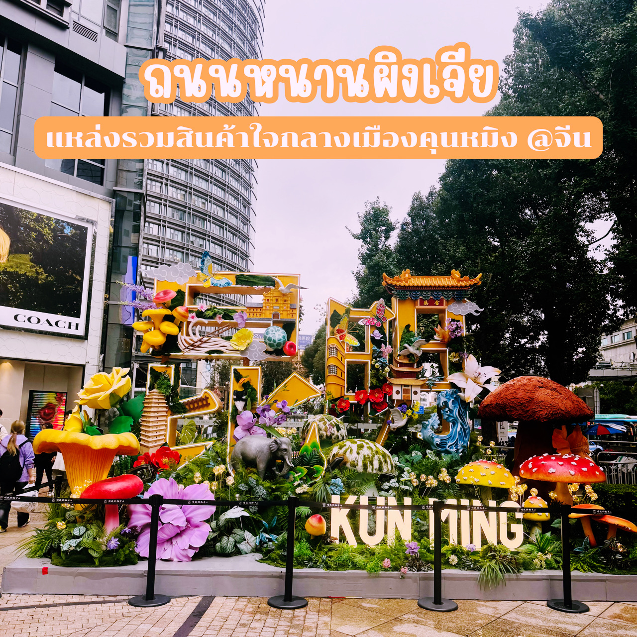 #TravelChina
📌 Nanping Jie Street is a shopping district in the heart of Kunming, China. It's vibrant, bustling, and offers a modern urban atmosphere blended with Yunnanese culture.

🌼 This area is home to several renowned department stores, including:
- Parkson Mall, a long-established shopping mall housing a wide selection of international fashion brands
- Golden Eagle Shopping Center, a luxury mall with modern restaurants and cafes
- New World Department Store, perfect for shopping for clothing, cosmetics, and local souvenirs

Each mall features popular brands like Starbucks, Haidilao Hot Pot, Uniqlo, MUJI, and Heytea, a tea shop that often has long queues in the evenings.

🌸 Nanping Jie Street also features small alleys lined with local restaurants, such as Yunnan's famous "Crossing the Bridge Noodles," as well as souvenir shops selling beautiful tea, silk, and jade. Most malls are open from 10:00 AM to 10:00 PM.

🚆 Access is very convenient. Take the subway Line 2 to Dongfeng Square Station, and it's just a few minutes' walk. Alternatively, take bus lines 1, 2, 3, 54, or 83 to the Nanping Street Stop to reach the heart of this shopping district. It's perfect for tourists who enjoy strolling and shopping for fashion, or foodies who want to experience the authentic flavors of Kunming.

#KunmingTrip
#KunmingVisit
#NanpingStreet
#Kunming