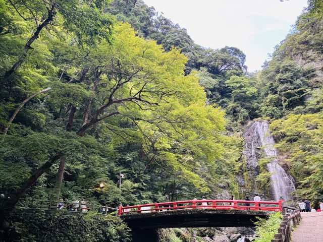 Osaka Day Trip: Mountain Temple & Waterfall Escape! ⛰️💦