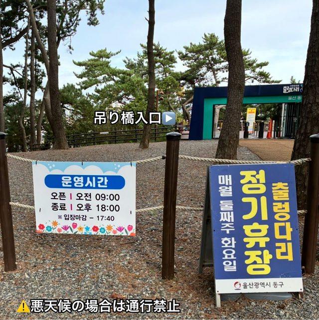 【蔚山】長さ303メートル‼️無料の吊り橋【大王岩公園吊橋】 【蔚山】長さ303メートル‼️無料の吊り橋【大王岩公園吊橋】