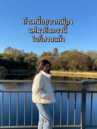 Seoul Forest ในวันที่ใบไม้เปลี่ยนสี