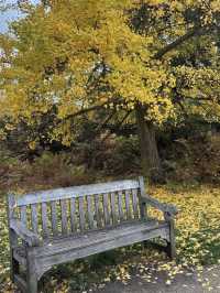 🏰🌿 Heritage & Gardens at Fulham Palace 🕰️✨