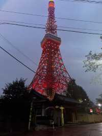 도쿄 4박5일 여행기