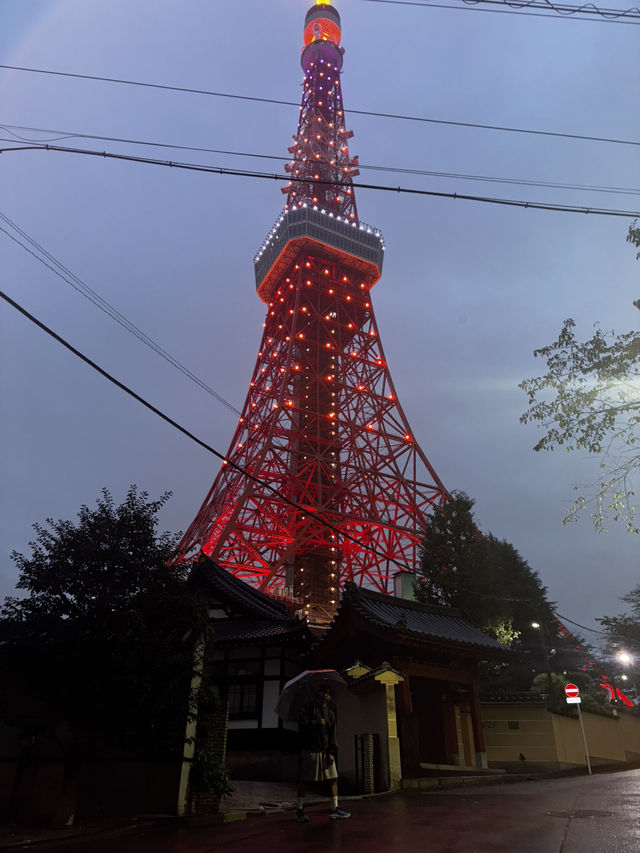 도쿄 4박5일 여행기 도쿄 4박5일 여행기