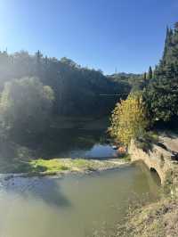 피렌체와 가장 가까운 도시형 캠핑, hu Firenze Camping in Town