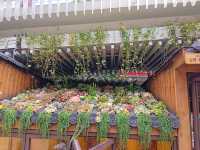 Chihu Coffee Culture Park