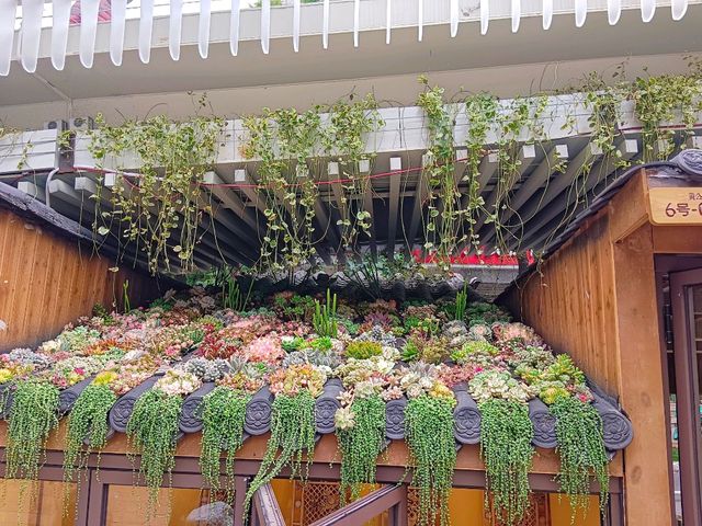 Chihu Coffee Culture Park Chihu Coffee Culture Park