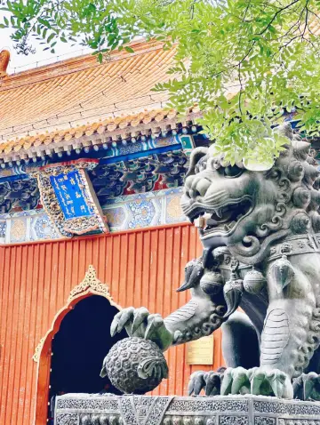 北京著名的喇嘛寺，不容錯過的景點