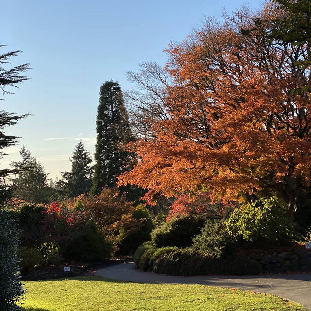 Queen Elizabeth Park Queen Elizabeth Park