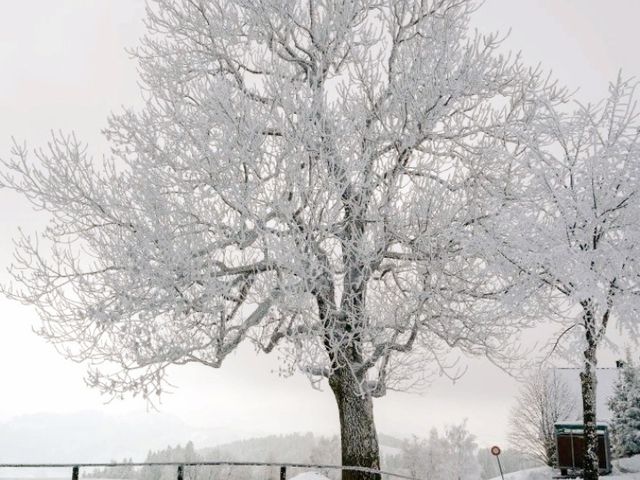 Lucerne in winter Lucerne in winter