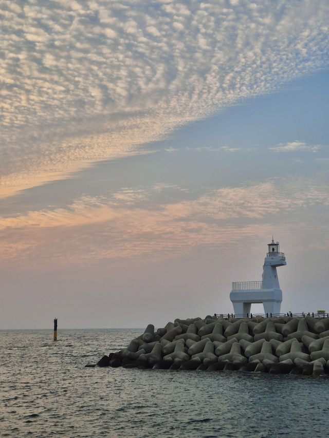 🌅 제주 2박 3일 여행 일정 가이드 🏝️