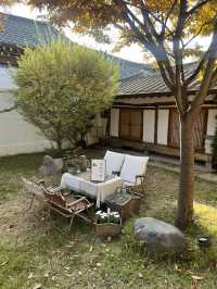 경주여행 이색사진 찍기