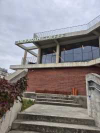 ๐ฅ๐์ธ์ฐ ๋๊ตฌ ๋ํ ์นดํ ์ธ์ผ์ค์ปคํผ