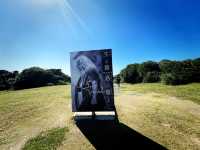 Festive Holiday Views at Eluanbi Lighthouse