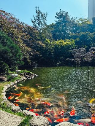 日本擁有優美自然風光的日式旅館