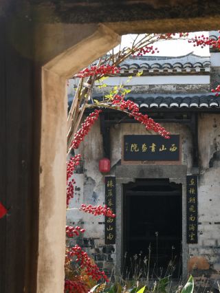 Village Life Vibes🌳