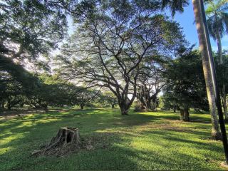 喬治·布朗·達爾文植物園