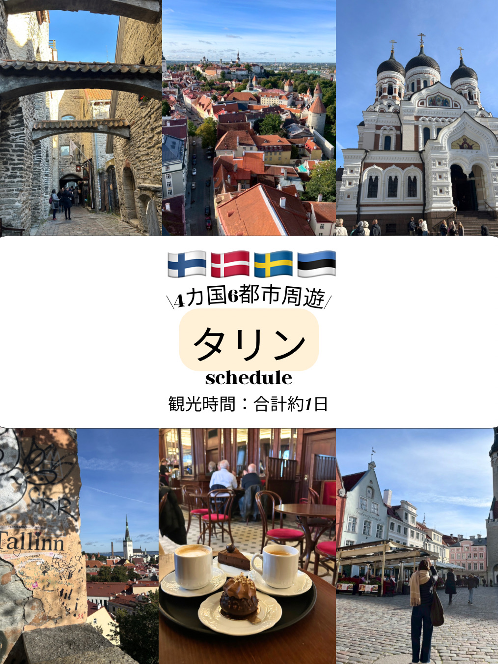 【タリン🇪🇪】1日で周るタリン旧市街観光