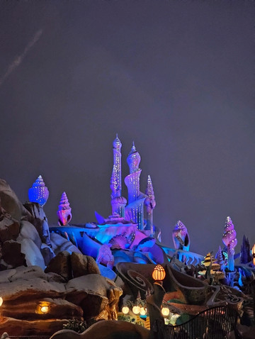 A Romantic Winter Night Experience at Disney. | Trip.com Urayasu