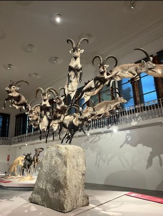 바르셀로나의 두 얼굴: 엘 포블레노우의 해안가의 고요함과 엘 라발의 활기 넘치는 도시 풍경