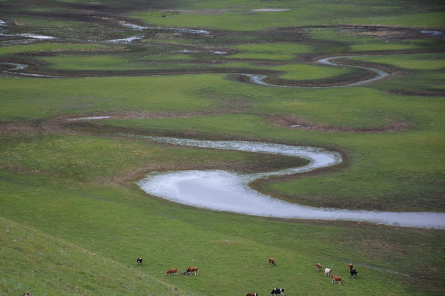 Finding My Own Little Corner of Hulunbuir
