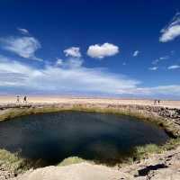 CejarLagoon,  Dead Sea in Chile 