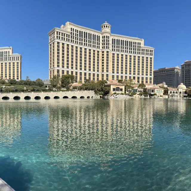 Bellagio View