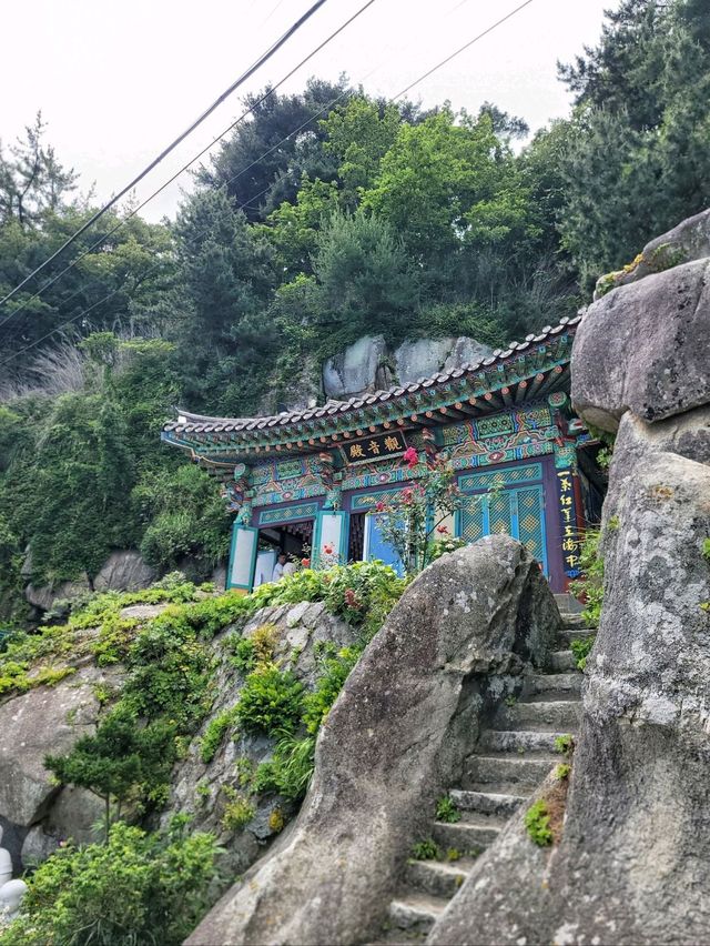 양양의 푸른 바다가 한눈에 펼쳐지는 곳💙