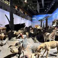 "Journey Through Time: Exploring Animals