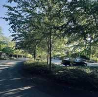 很幽靜美麗的社區植物園