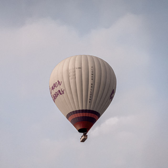 Watching Hot Air Balloons @ Sultan Cave Suite