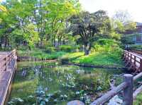 浮間公園