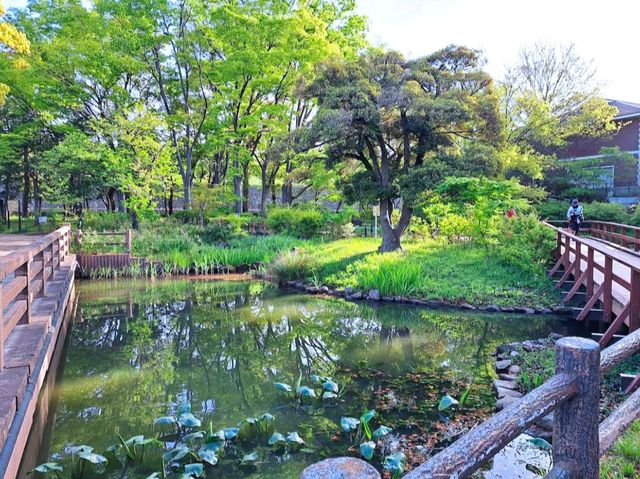 浮間公園