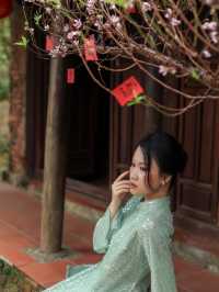 A Hidden Gem for Arts Lovers: Dong Dinh Museum, Da Nang
