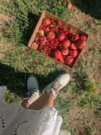 Fun activity to do in San Francisco 