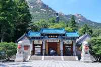 🍵⛰️ Laoshan Magic: Tea, Taoism & Timeless Views above Qingdao 🍵⛰️