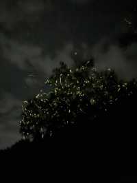 Discover Nature Magic at Naga🌳🌋💦