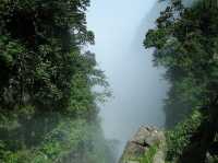 Emei Mountain - Elephants and Bodhisattvas abound on Ermei Shan.