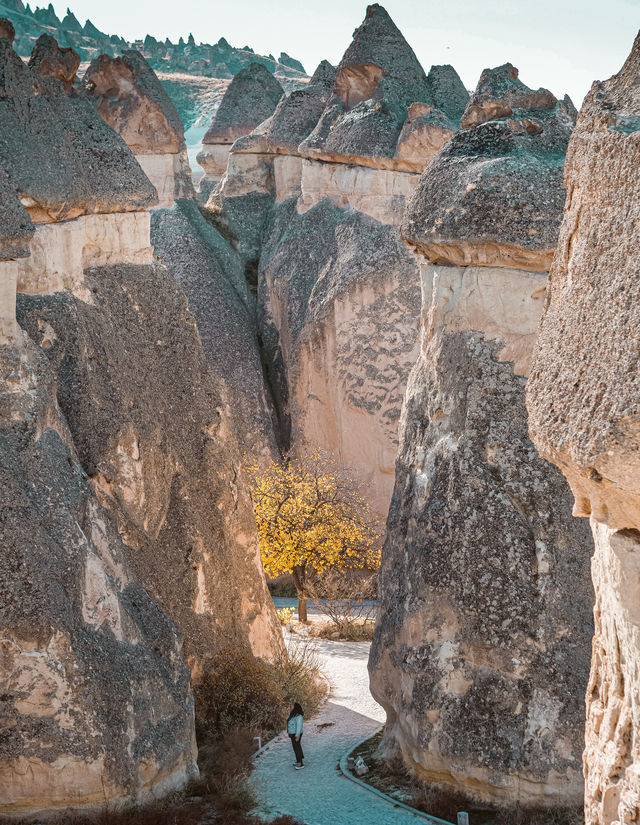 Dreamy Cappadocia ✨️