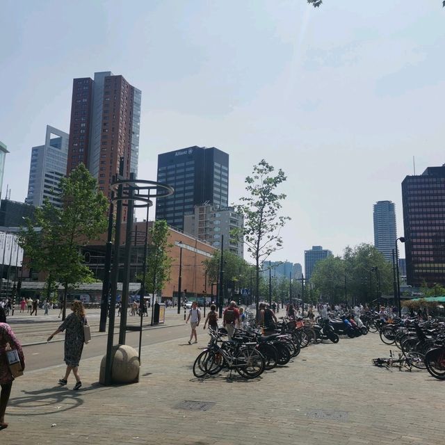 The Town of Rotterdam, a nice place to leave