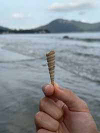 Lower Cheung Sha Beach 🏝️ 