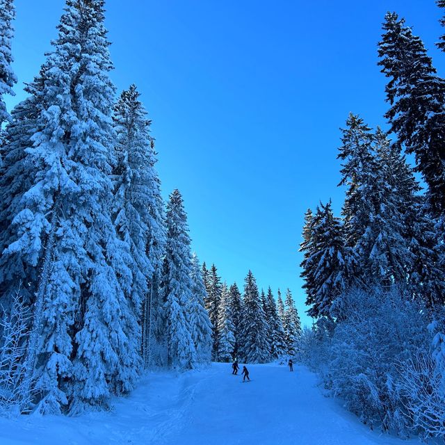 Sarajevo and skiing!