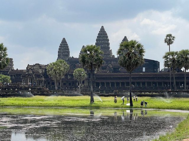 Whispers of History at Angkor Wat