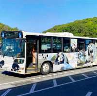 🎠動物遊樂園🦁冒險大世界🎡棲息著160種動物🐼