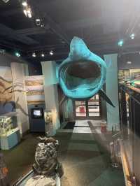 Have a roar-some time, dinosaurs at the museum of Wales